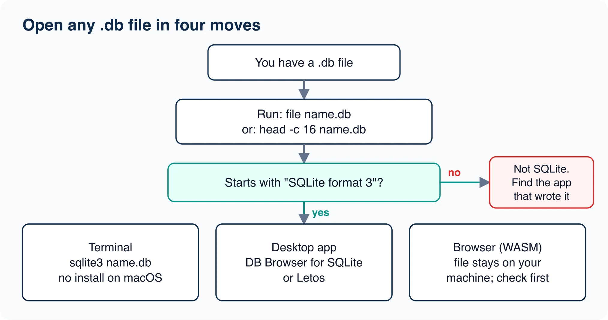 Flow chart: check the first 16 bytes, then choose terminal, desktop app or browser viewer